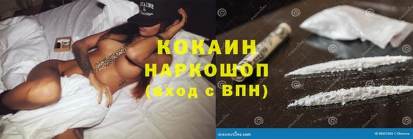 Альфа ПВП Каменка
