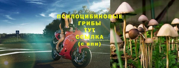 меф Арсеньев