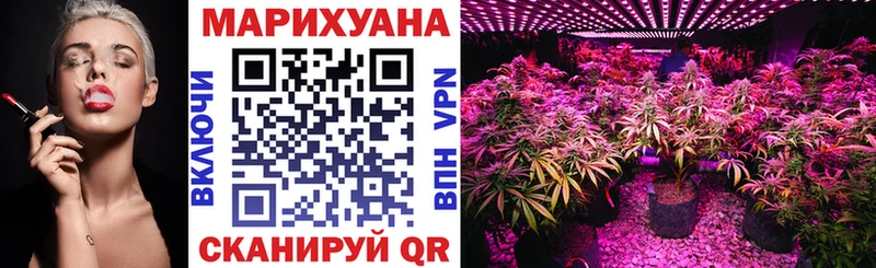 Бошки Шишки OG Kush Родники